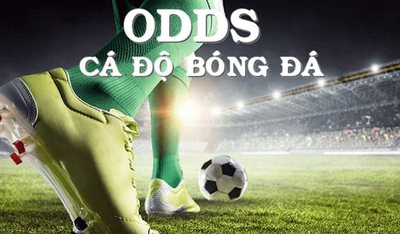 Tìm hiểu về Odds hay tỷ lệ Odds tại Dafabet VIP