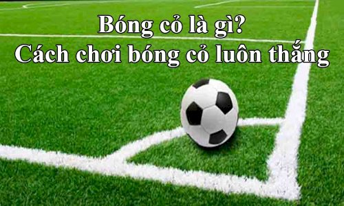 kinh nghiệm Bóng cỏ