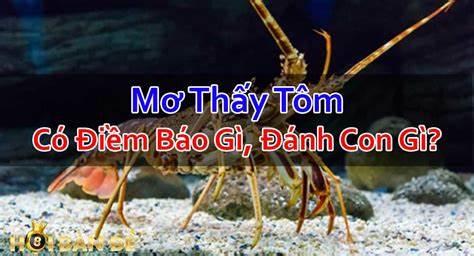 Nằm mơ thấy tôm đánh con lô gì trúng lớn