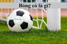 Bóng cỏ là gì?